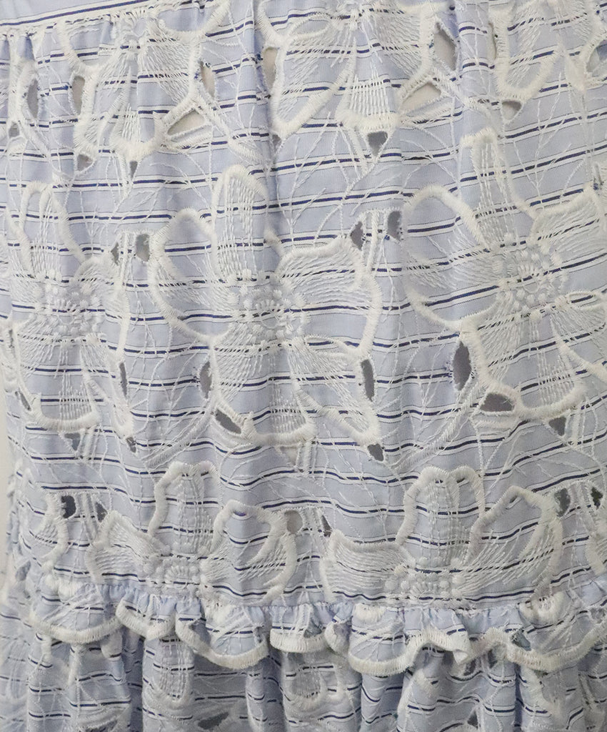 Erdem Blue & White Stripe Embroidered Dress 6